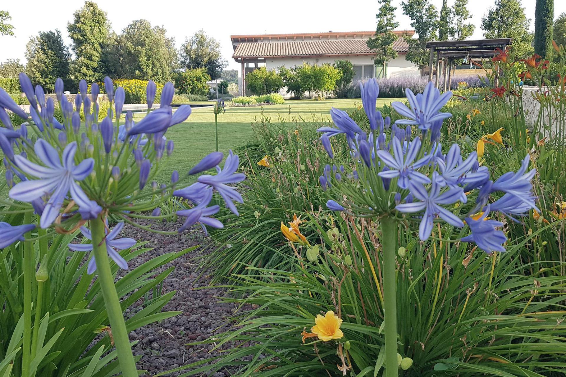 Agriturismo with breakfast, not far from the beach in Tuscany